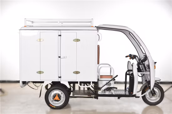 Tissot Moto Drill 48V Motorräder Elektrowerkzeuge Van Dreirad für die Lieferung von Lebensmitteltüchern